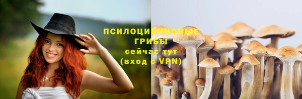 мескалин Аркадак