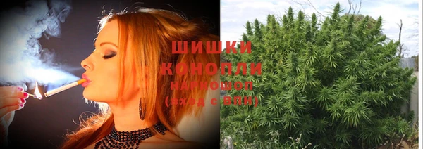 амф Арсеньев