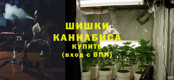 амф Арсеньев
