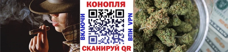 Шишки марихуана семена  Салехард 